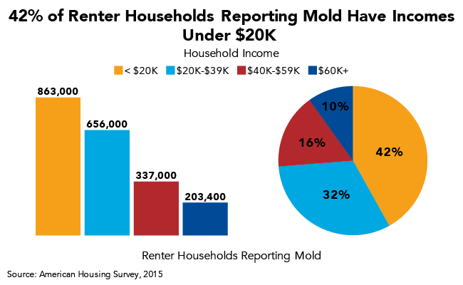 42% of Renter Households Reporting Mold Have Incomes Under $20K