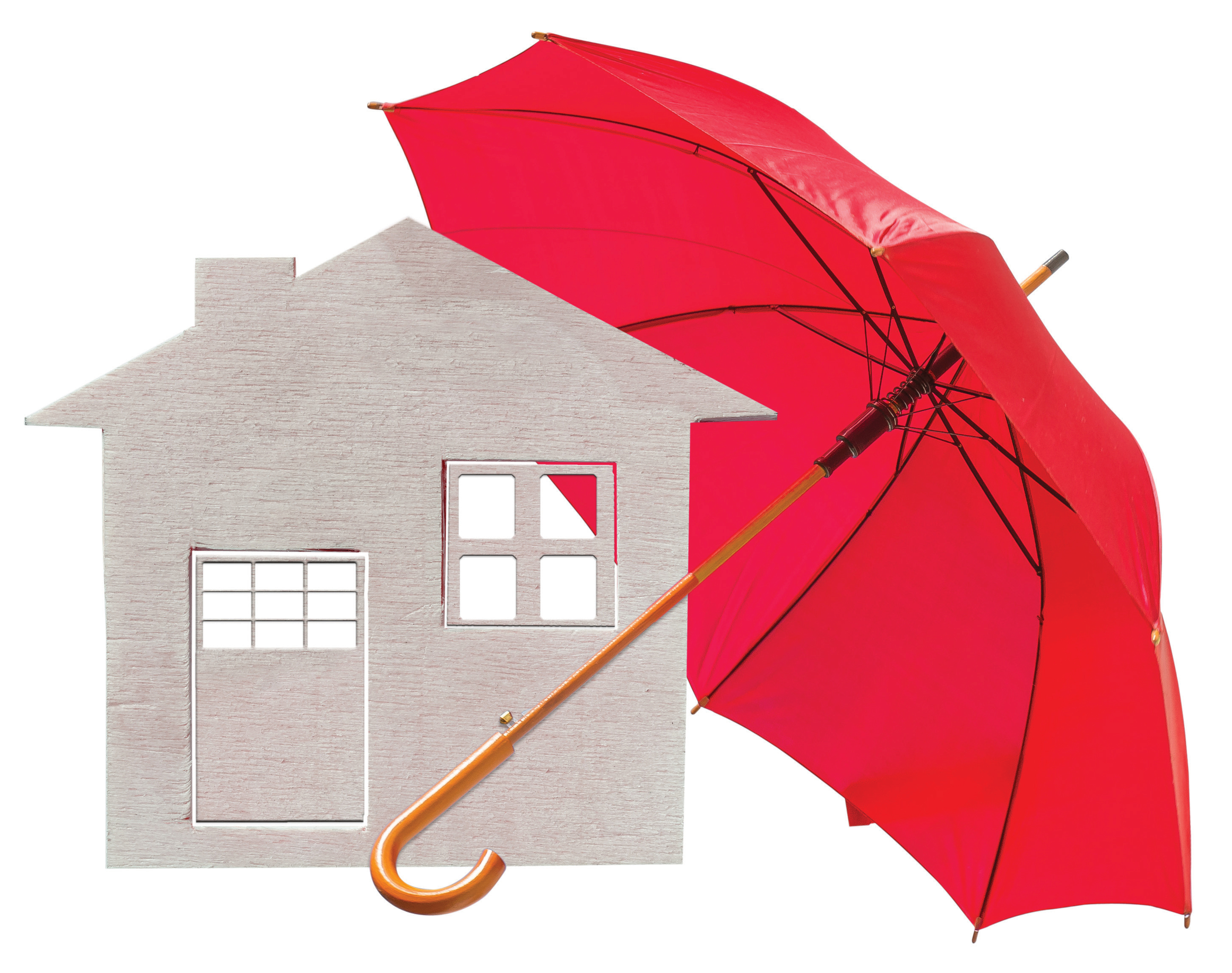 Protecting Tenants at Foreclosure Act