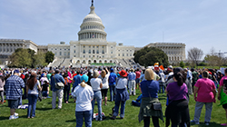 Thousands gather to here speakers rally support for equitable tax reform and tax transparency of public officials.