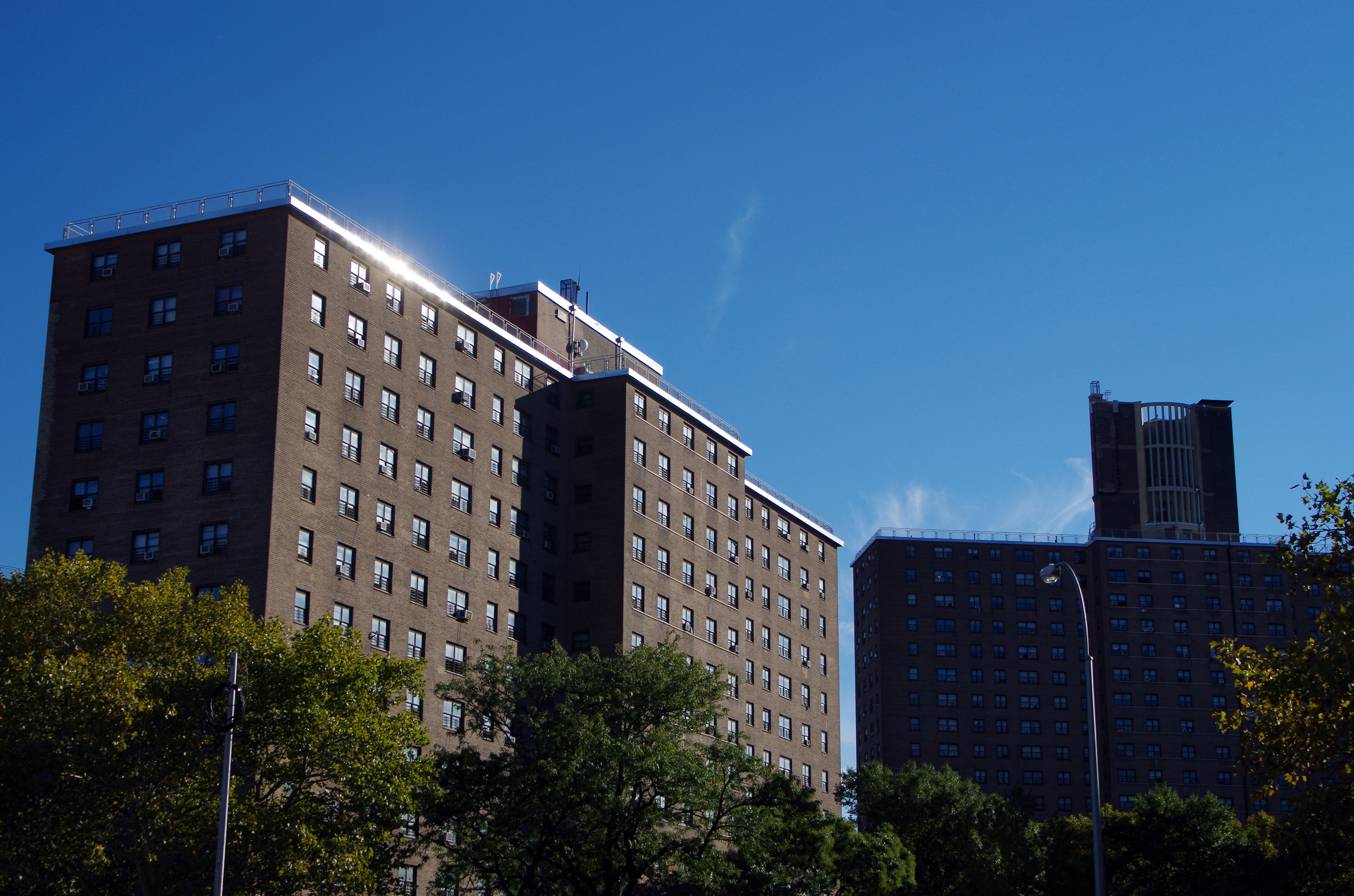 Bushwick Houses